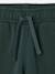 Joggers for boys bordeaux red+denim blue+fir green - vertbaudet enfant 