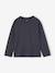 Pack of 3 long-sleeved T-shirts for boys green+royal blue - vertbaudet enfant 