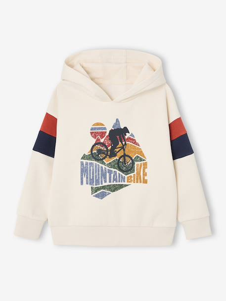 Hooded Sweatshirt with Print lichen+navy blue+pecan nut+sage green+white - vertbaudet enfant 