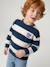 Striped sweatshirt with crew neck for boys hazel+navy blue+pistachio - vertbaudet enfant 