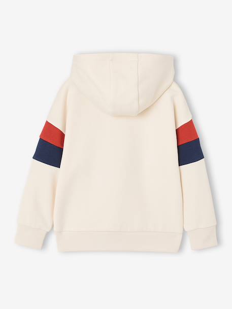 Sweat garçon à capuche motif placé blanc+lichen+marine+noix de pécan+vert sauge - vertbaudet enfant 