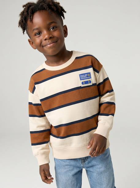 Sweat garçon col rond marine+noisette+pistache - vertbaudet enfant 