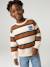 Sweat garçon col rond marine+noisette+pistache - vertbaudet enfant 