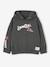 Hooded sweatshirt with long sleeves for boys lichen - vertbaudet enfant 