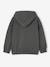Hooded sweatshirt with long sleeves for boys lichen - vertbaudet enfant 