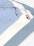 PETIT BATEAU Pack of 3 long-sleeved bodysuits blue - vertbaudet enfant 