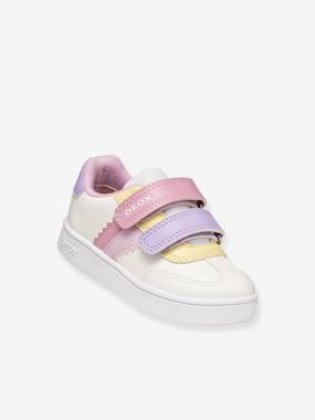 -Baskets Eclyper
