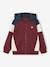Sweat zippé garçon capuche coloblock bleu moyen+bordeaux+ocre+vert - vertbaudet enfant 