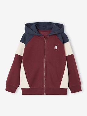 -Zipped hooded sweatshirt for boys with colour block design