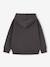 Hooded sweatshirt for boys anthracite - vertbaudet enfant 
