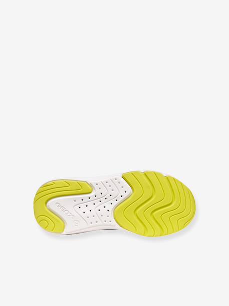GEOX Pro-Ran trainers blue - vertbaudet enfant 