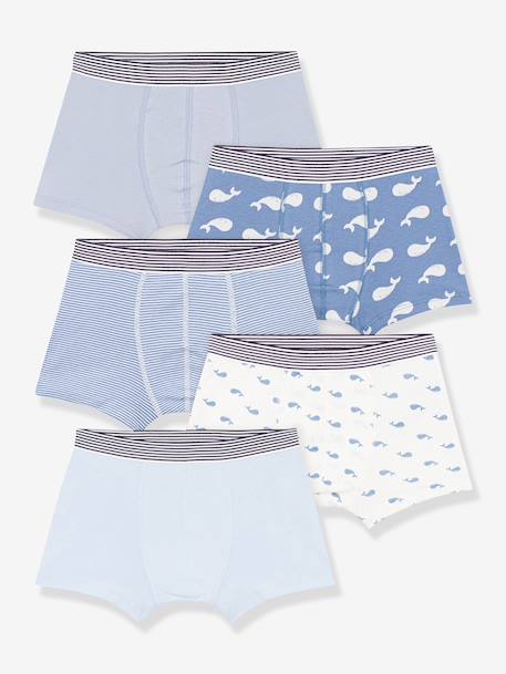 PETIT BATEAU Pack of 5 boxers for kids blue - vertbaudet enfant 