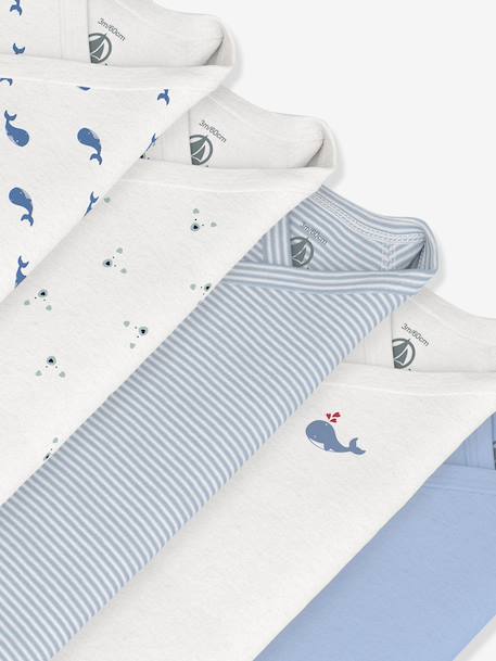 Pack of 5 long-sleeved wrapover bodysuits by PETIT BATEAU blue - vertbaudet enfant 