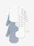 PETIT BATEAUPack of 5 long-sleeved bodysuits blue - vertbaudet enfant 