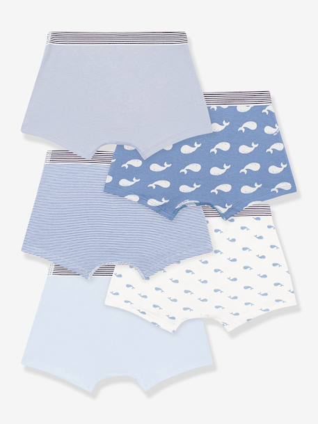 Pack of 5 boxers for kids by PETIT BATEAU blue - vertbaudet enfant 