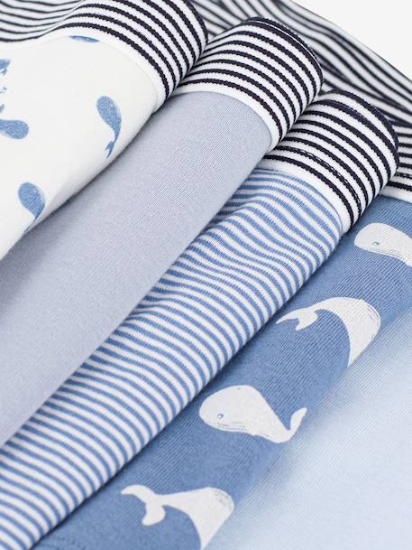 PETIT BATEAU Pack of 5 boxers for kids blue - vertbaudet enfant 