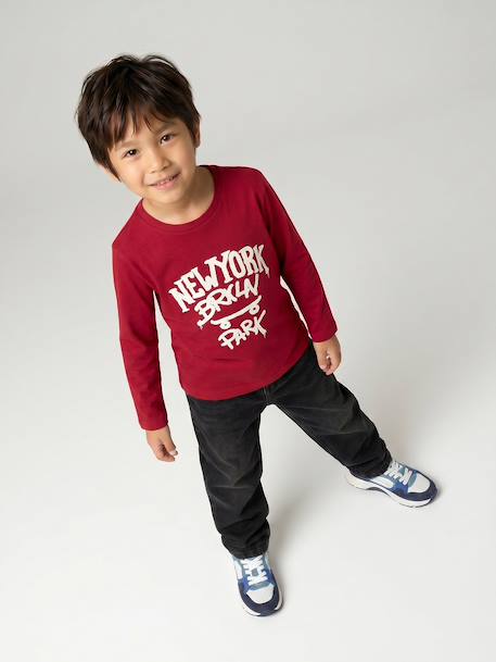 Long-sleeved T-shirt for boys anthracite+cappuccino+red+sage green+white - vertbaudet enfant 