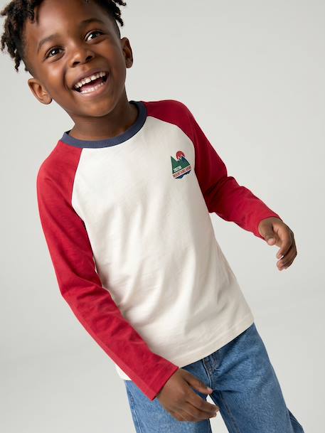T-shirt manches longues garçon bordeaux+ocre+vert sauge - vertbaudet enfant 