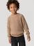 Round-neck jumper for boys marl beige - vertbaudet enfant 