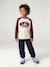 Jogging bottoms for boys beige+fir green+navy blue - vertbaudet enfant 