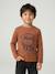 Long-sleeved T-shirt for boys anthracite+cappuccino+red+sage green+white - vertbaudet enfant 