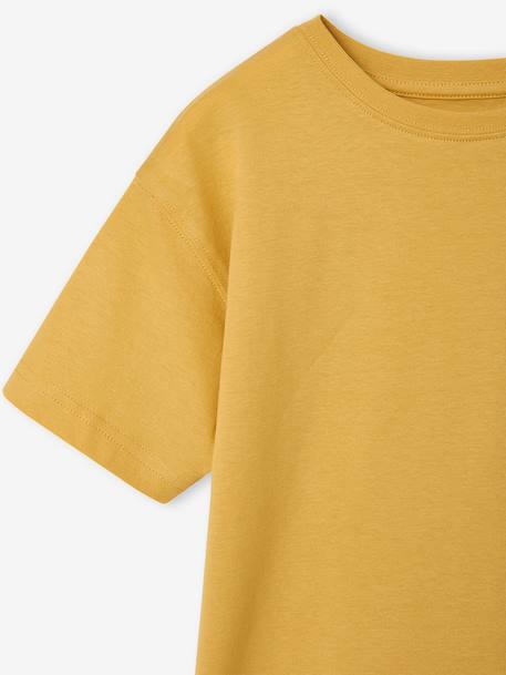 Lot de 3 T-shirts garçon manches courtes ocre - vertbaudet enfant 