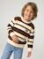 Jumper for boys hazel+navy blue - vertbaudet enfant 