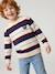 Jumper for boys hazel+navy blue - vertbaudet enfant 