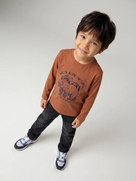 Long-sleeved T-shirt for boys anthracite+cappuccino+red+sage green+white - vertbaudet enfant 