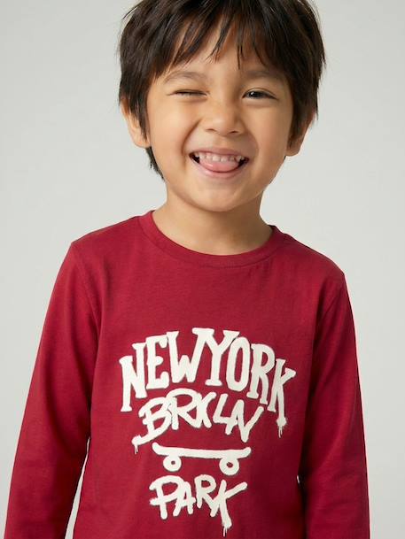 Long-sleeved T-shirt for boys anthracite+cappuccino+red+sage green+white - vertbaudet enfant 