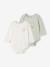 Pack of 2 Winnie the Pooh bodysuits aqua green - vertbaudet enfant 