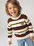 Jumper for boys hazel+navy blue - vertbaudet enfant 