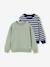 Pack of 2 crew neck sweatshirts for boys sage green - vertbaudet enfant 
