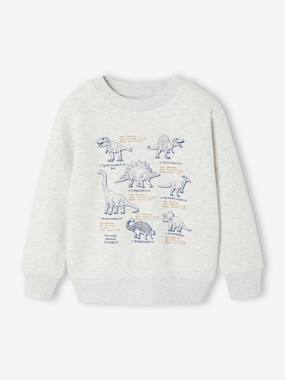 -Sweat garçon col rond manches longues