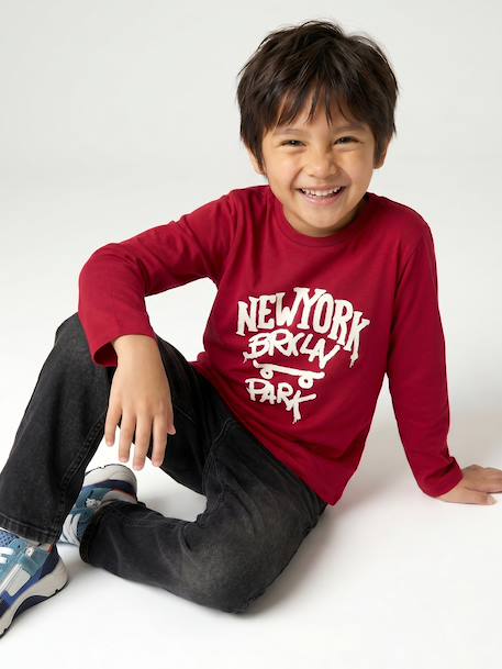 Long-sleeved T-shirt for boys anthracite+cappuccino+red+sage green+white - vertbaudet enfant 