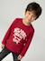 Long-sleeved T-shirt for boys anthracite+cappuccino+red+sage green+white - vertbaudet enfant 