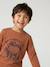 Long-sleeved T-shirt for boys anthracite+cappuccino+red+sage green+white - vertbaudet enfant 