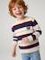 Jumper for boys hazel+navy blue - vertbaudet enfant 