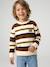 Jumper for boys hazel+navy blue - vertbaudet enfant 