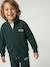 Zipped sweatshirt for boys with a trucker neck fir green+navy blue+red - vertbaudet enfant 