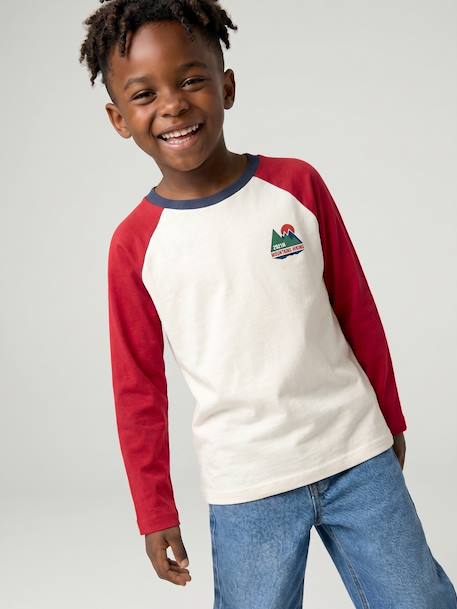 T-shirt manches longues garçon bordeaux+ocre+vert sauge - vertbaudet enfant 