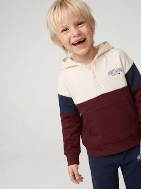 -Boys' colour block hooded sweatshirt