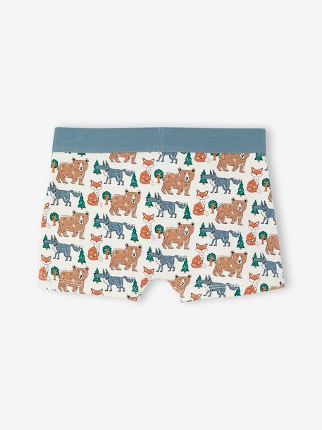 Lot de 5 boxers garçon beige - vertbaudet enfant 