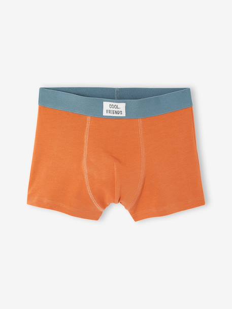Pack of 5 boxers for boys beige - vertbaudet enfant 