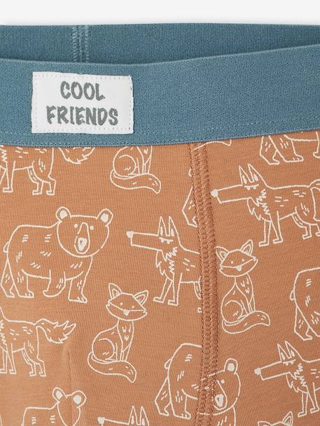 Pack of 5 boxers for boys beige - vertbaudet enfant 