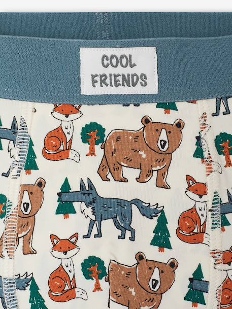 Lot de 5 boxers garçon beige - vertbaudet enfant 