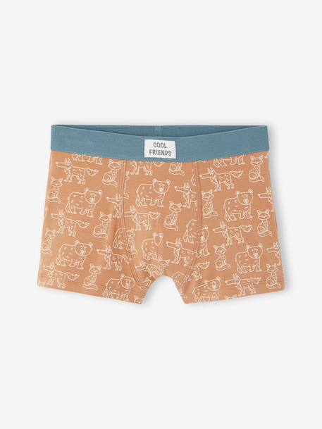 Pack of 5 boxers for boys beige - vertbaudet enfant 