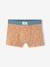 Pack of 5 boxers for boys beige - vertbaudet enfant 