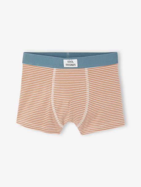 Pack of 5 boxers for boys beige - vertbaudet enfant 