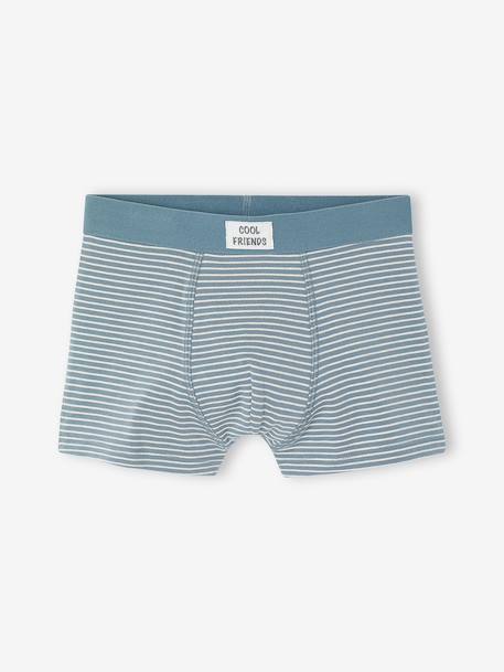 Pack of 5 boxers for boys beige - vertbaudet enfant 